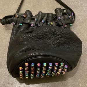 Alexander Wang Rainbow Bucket Bag